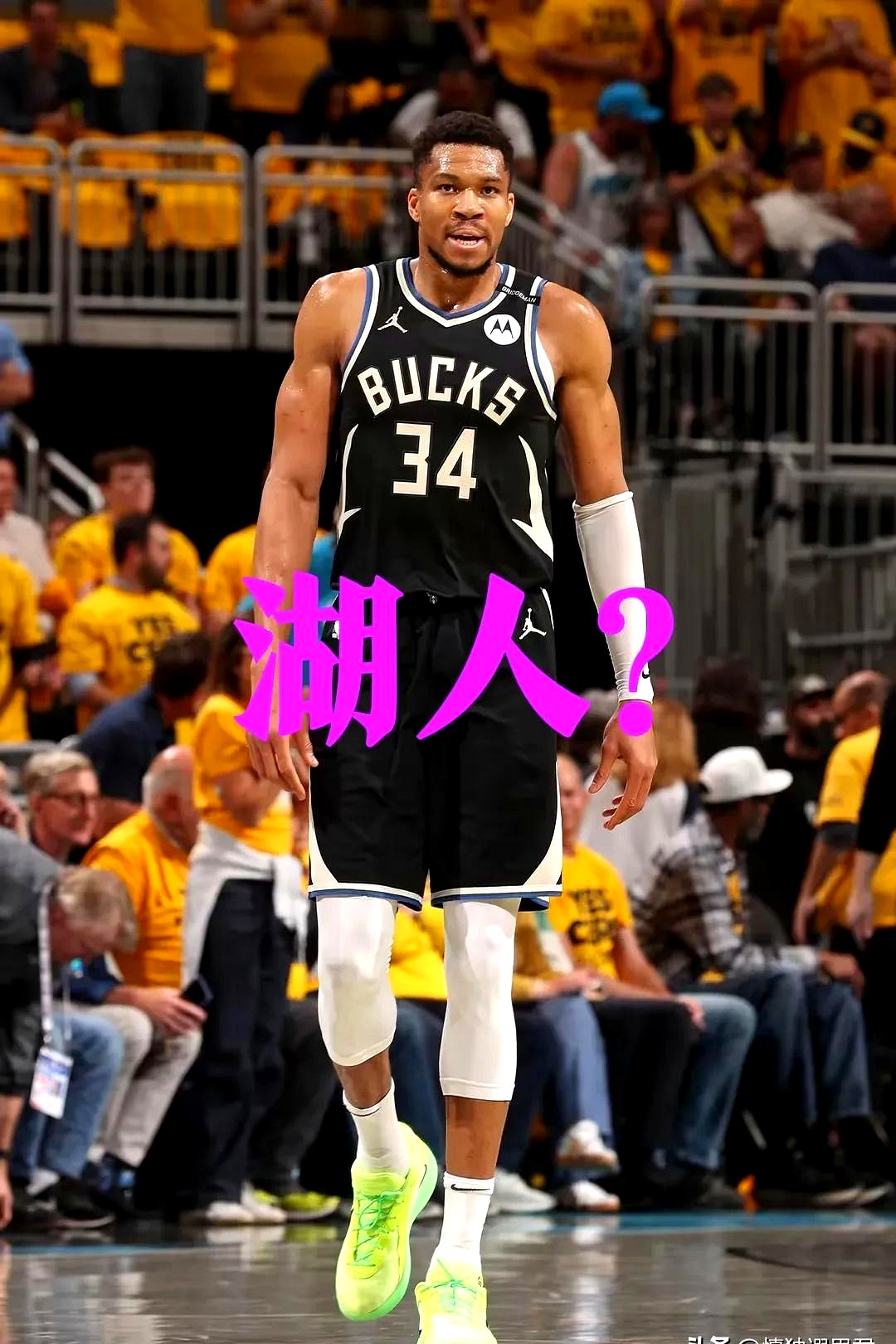 字母哥遭遇十五持续失利，中国队教练压力巨大！的简单介绍